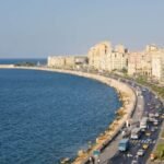 Turkish Airlines Alexandria Office in Egypt