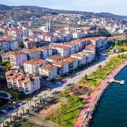 Turkish Airlines Kocaeli Office in Turkey